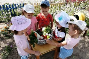 Читать далее о этой статье Беседа «Овощи — витаминные продукты»